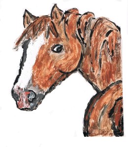 Curriculum to draw a horse while studying horses.