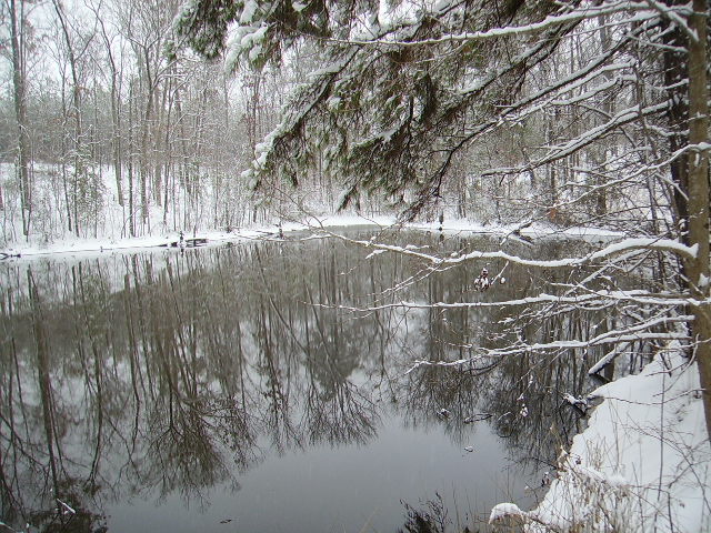 Another view of the pond