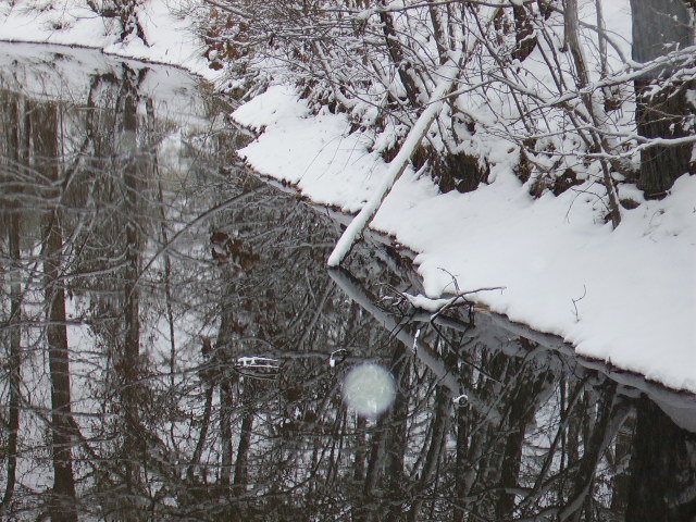 Pond boundary with debris