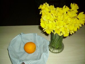 Daffodils in vase