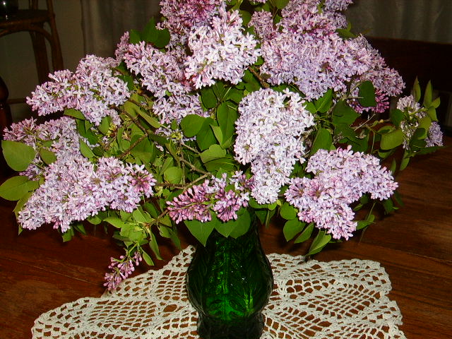Do you know the difference between lilac and wisteria? This bouquet is lilac!