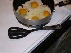 rounded spatula rounded spatula