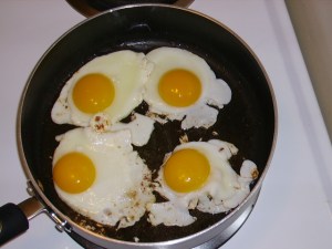 egg triage egg triage