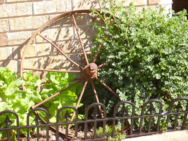 cos, burnet, thyme, and wheel