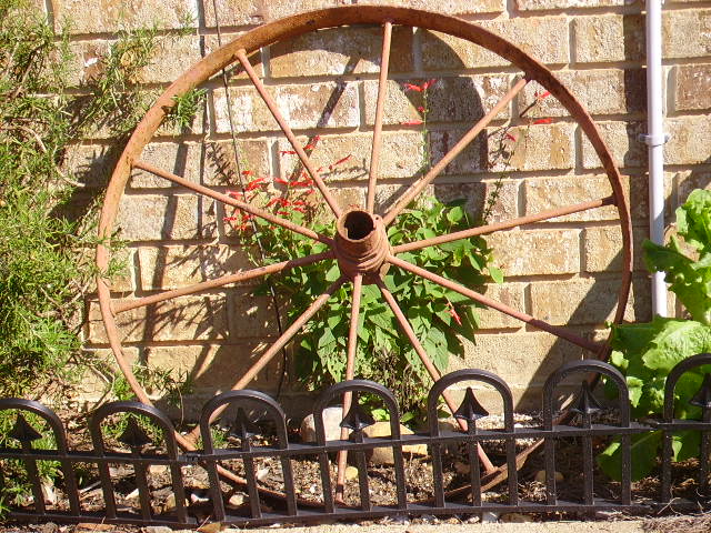 rosemary, pineapple sage, cos, and wheel