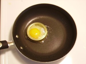 egg in ring egg in ring