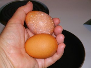 Aren't TheseBeauties?