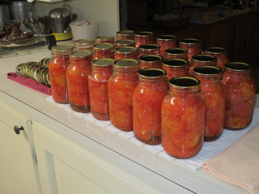 One Morning's Canning success, SAVED for those "chili and soup" days!