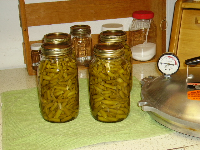 four quarts green beans