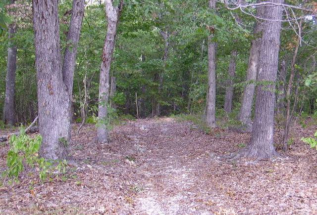 lovely dark and deep