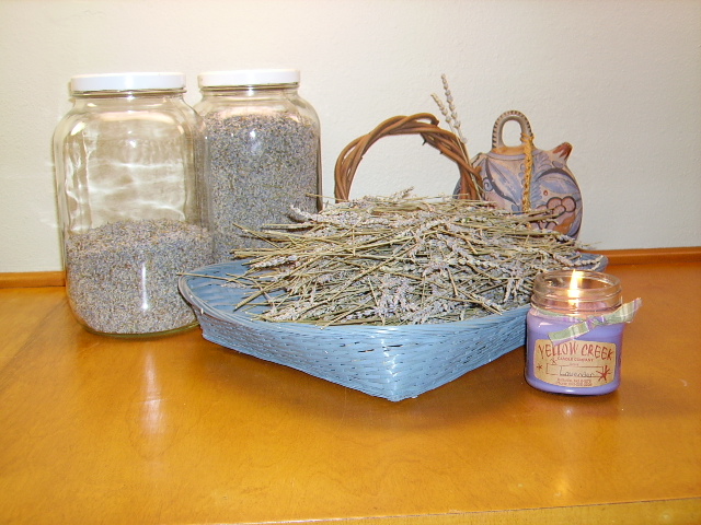 Lots of lavender in this harvest