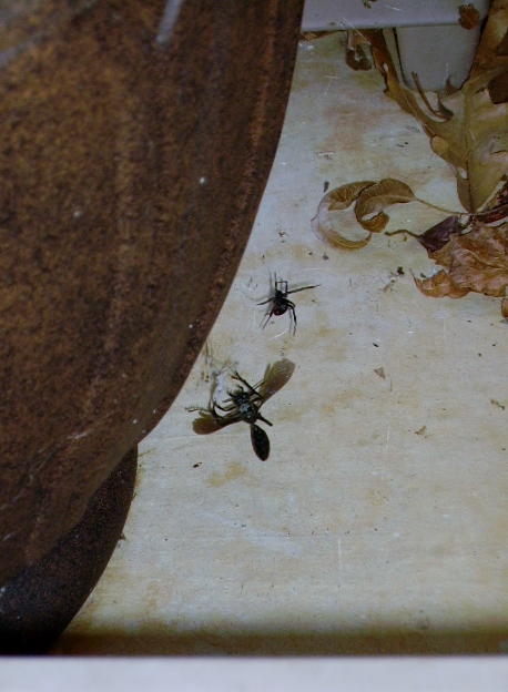 "I'll wrap this up later..."