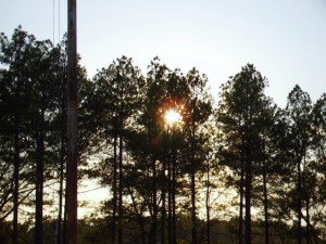 sunset on flagpole
