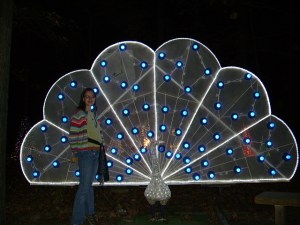 light peacock