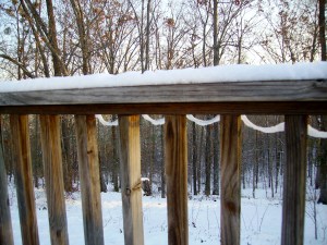 Layers of snow on webwork