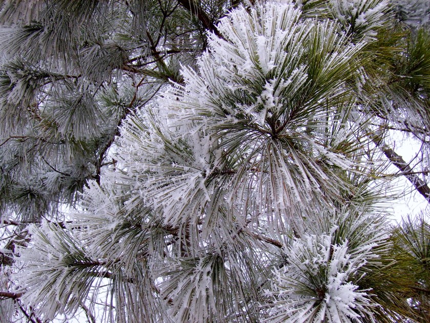 Exploding masterpiece