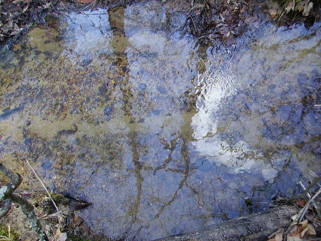 down under the water