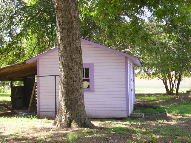 purple shed