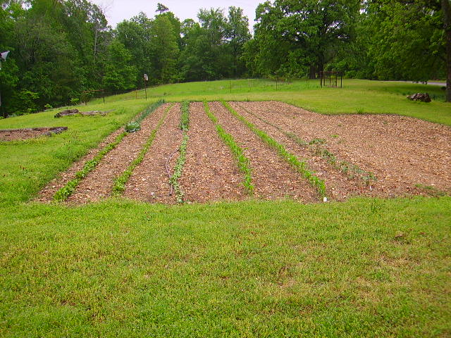 change, garden, new, progress