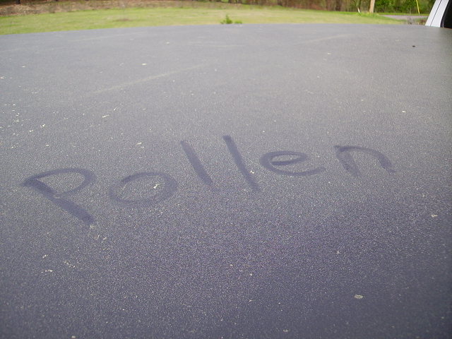 Pollen