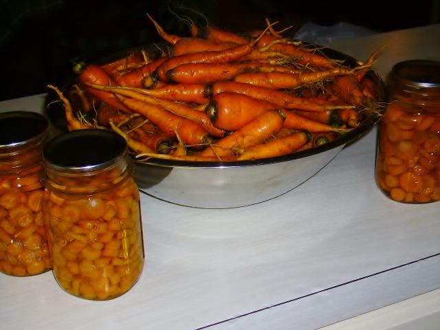 Saturated with Orange