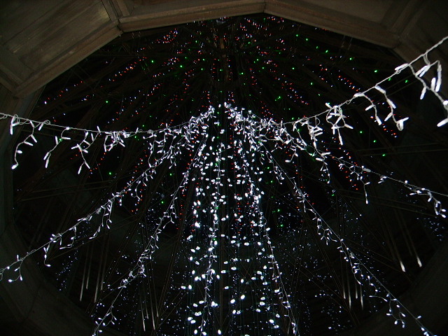 Infinite number of lights. Gazebo at Garvan Gardens, in December