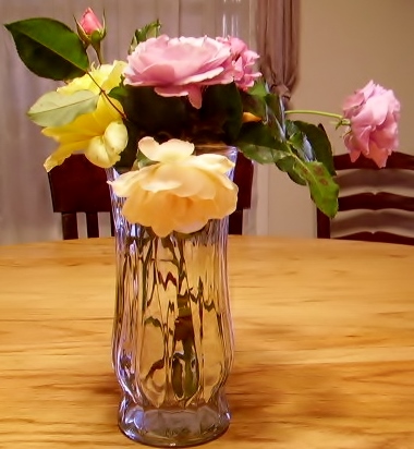 Traces of Summer Fading