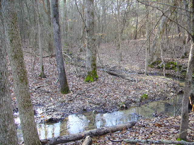 Coming down from my pond