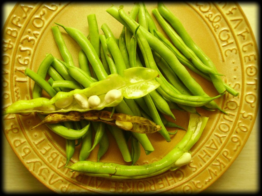 The ones that got away...