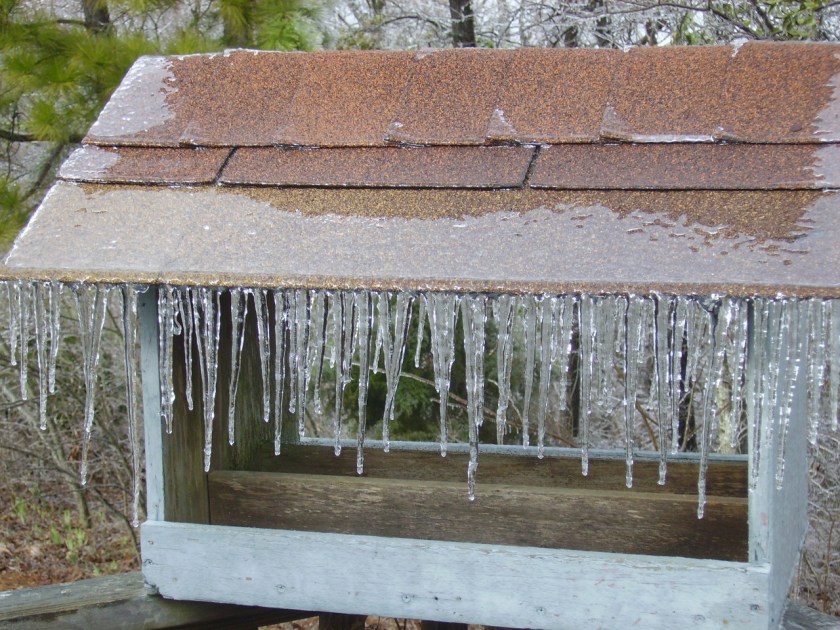 Birdfeeder Covered in Ice by Winter Storm Octavia
