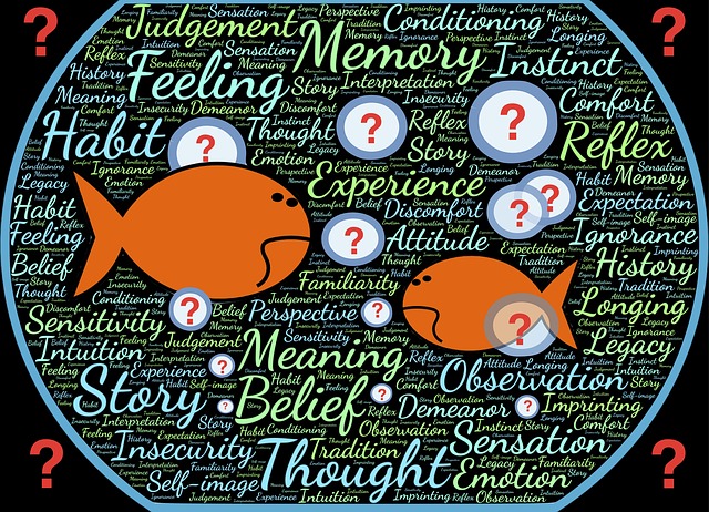 The story that asks the question!