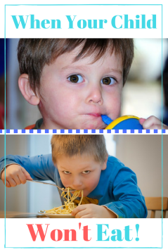 What to Do When Your Child Won't Eat. How to Overcome a Picky Eater.