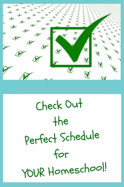 Need help making a really good schedule that works for your home/school days? Look no farther!