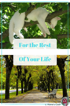 How to Get an Amazing Rest from a Crazy Busy Day