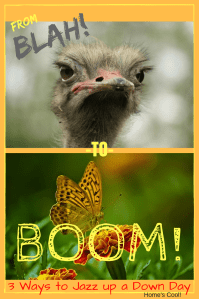 Jazz up a down day from BLAH to BOOM!