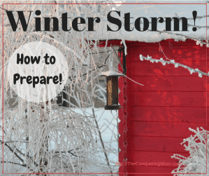 Survival includes a lot more than white bread! Read to find out what all you need NOW!